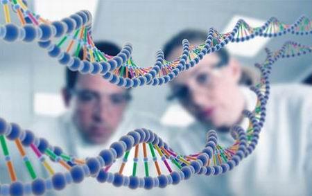 DNA亲子鉴定需要哪些样本?怎么采集？