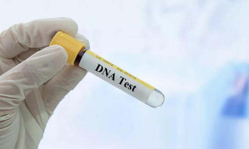 DNA亲子鉴定需要哪些样本?