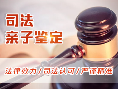 正规司法亲子鉴定怎么做?需要准备什么资料?