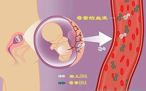 现在做产前亲子鉴定需要多久出结果？