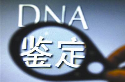 中山石歧区鉴定亲子是什么