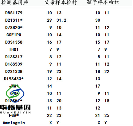 中山DNA亲子鉴定报告怎么看？