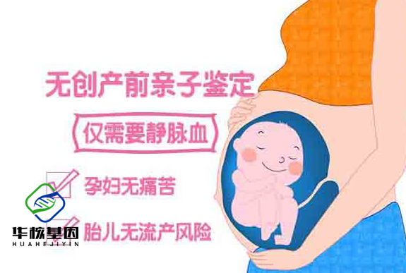 中山怀孕多久可做亲子鉴定？