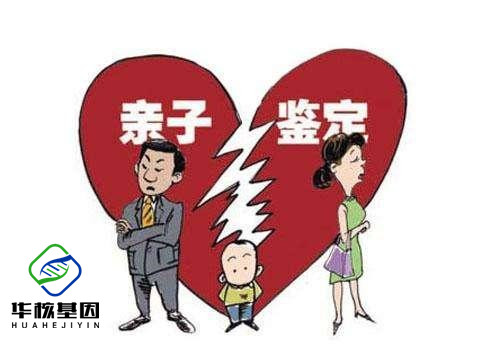 中山亲子鉴定几个小时出结果？