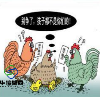 「中山」dna血液亲子鉴定会出错吗？