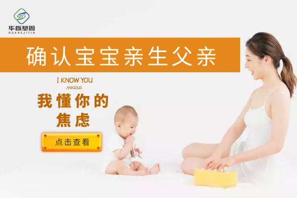 中山亲子鉴定多少钱？
