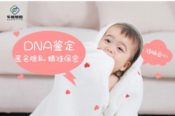 中山隐私亲子鉴定价格是多少？中山隐私亲子鉴定流程？