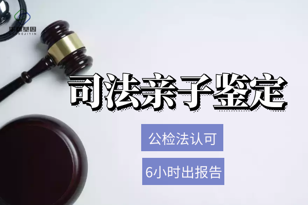 司法亲子鉴定